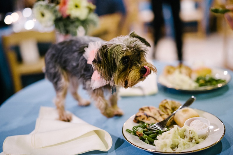 wv wedding photography