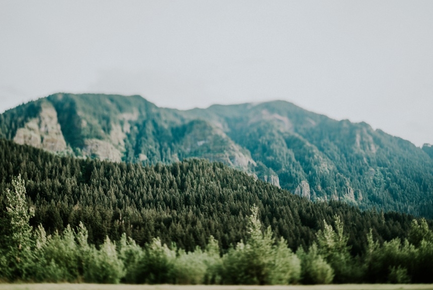 columbia river gorge engagement photo 