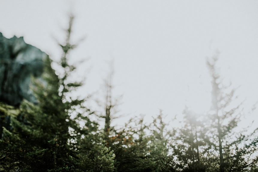 portland oregon engagement photo 