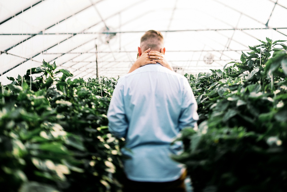 wv greenhouse engagement