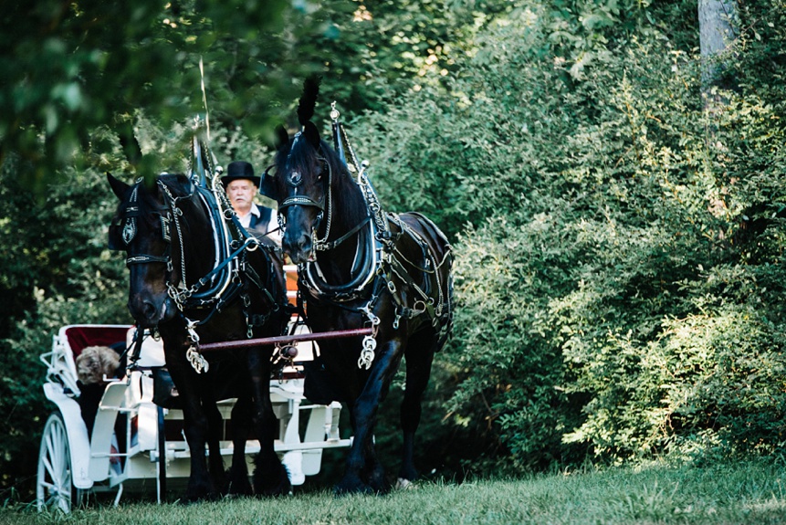 View More: http://laurenlovephotography.pass.us/hope-john