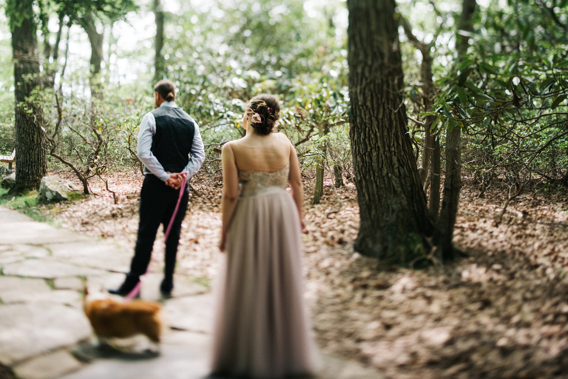 coopers rock wedding photo 