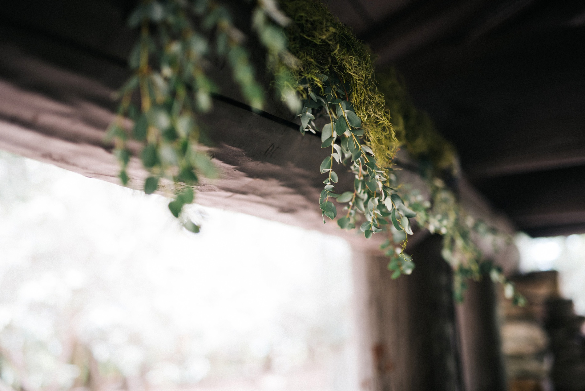 wv wedding photo in morgantown wv