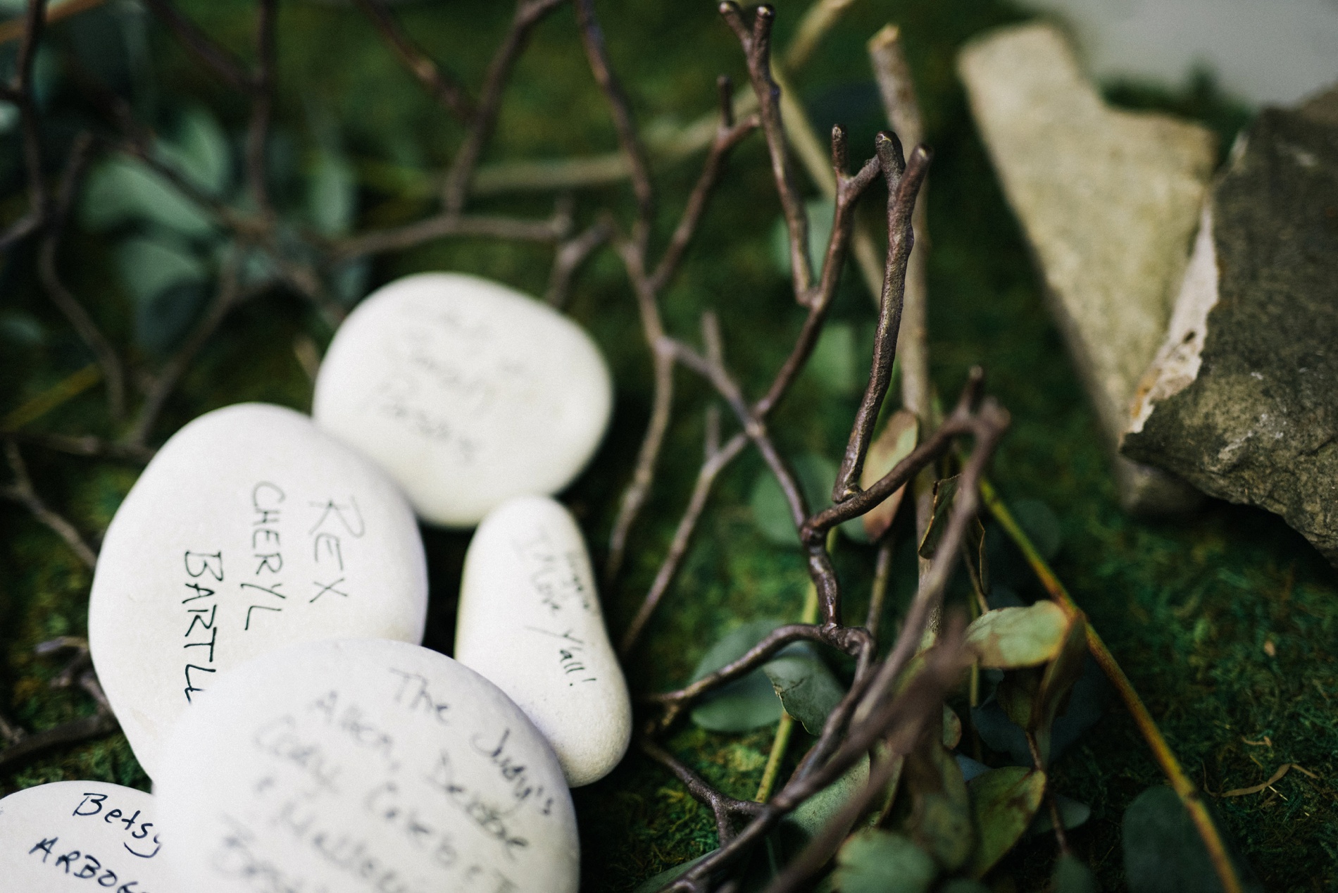 details at a wedding at coopers rock