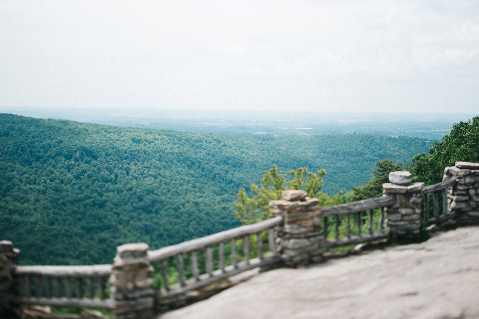 coopers rock wedding photo 