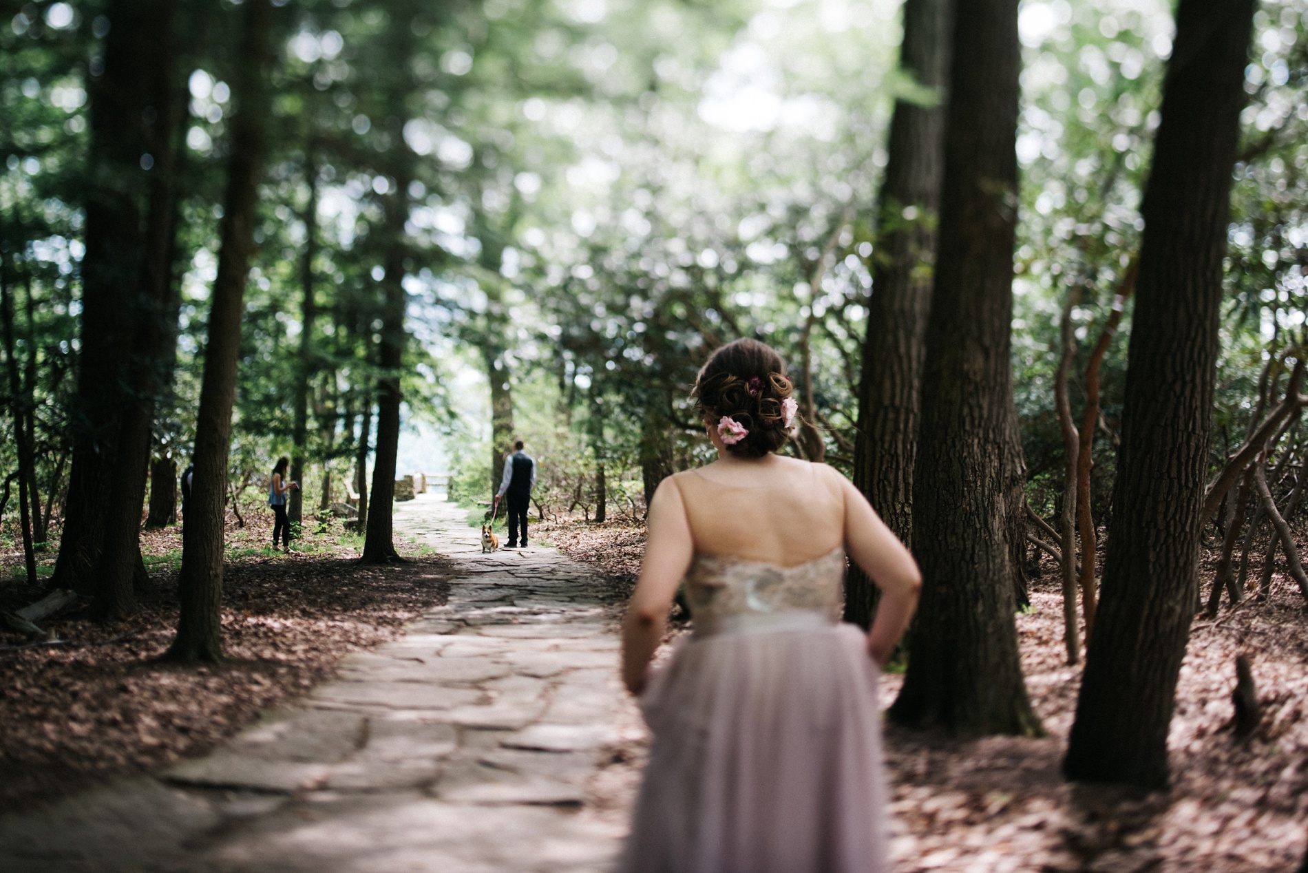 wedding at coopers rock in morgantown wv