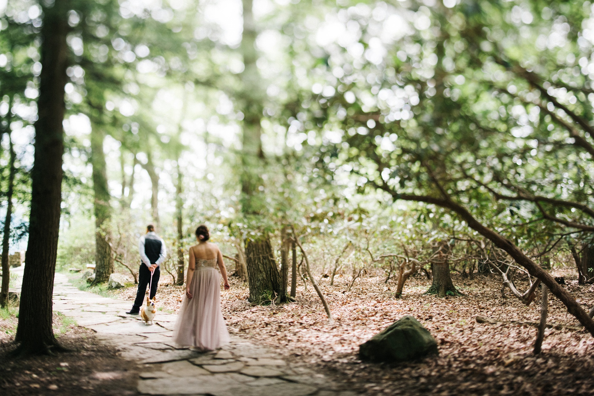 wedding at coopers rock in morgantown wv