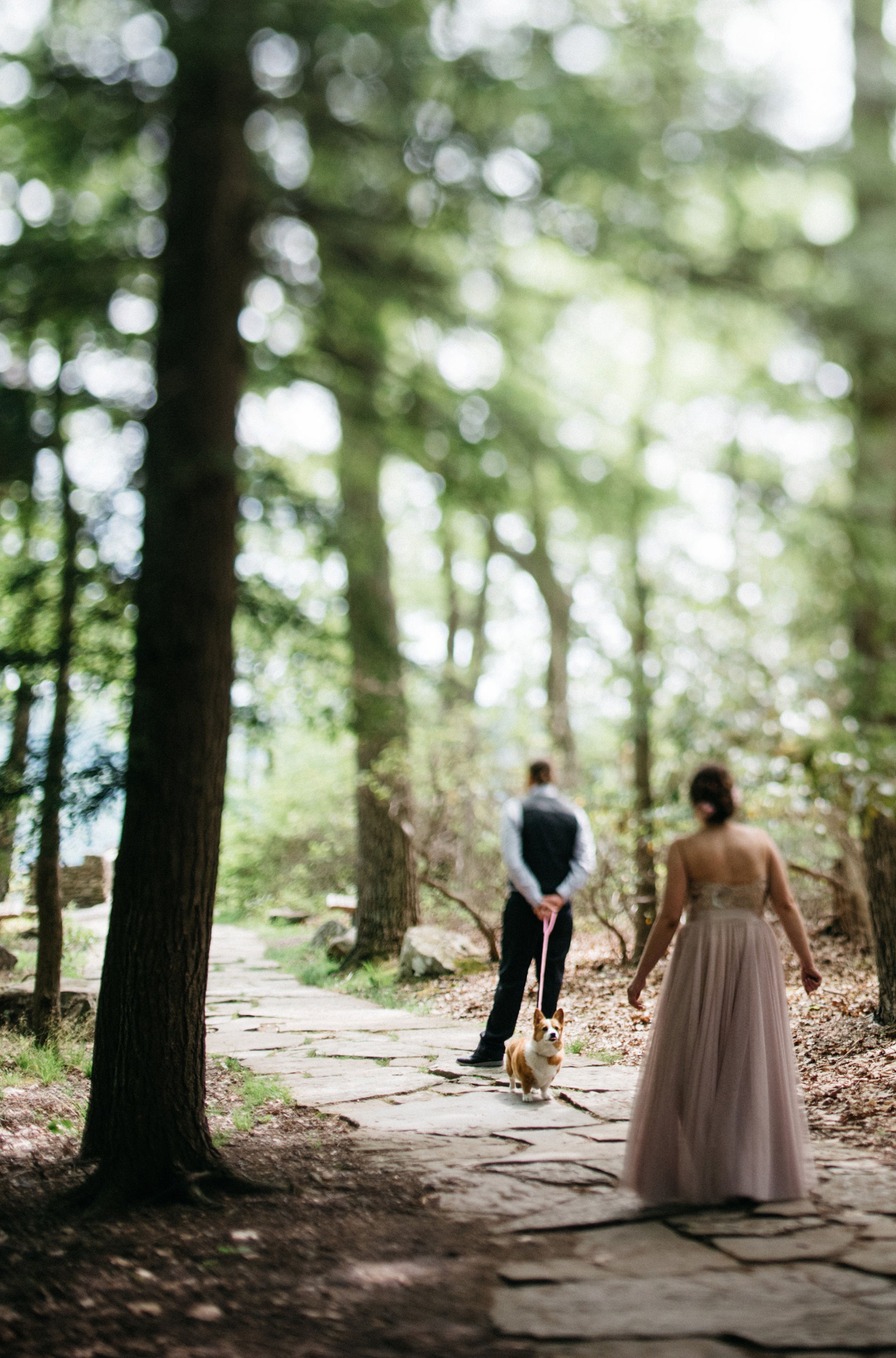 wedding at coopers rock in morgantown wv