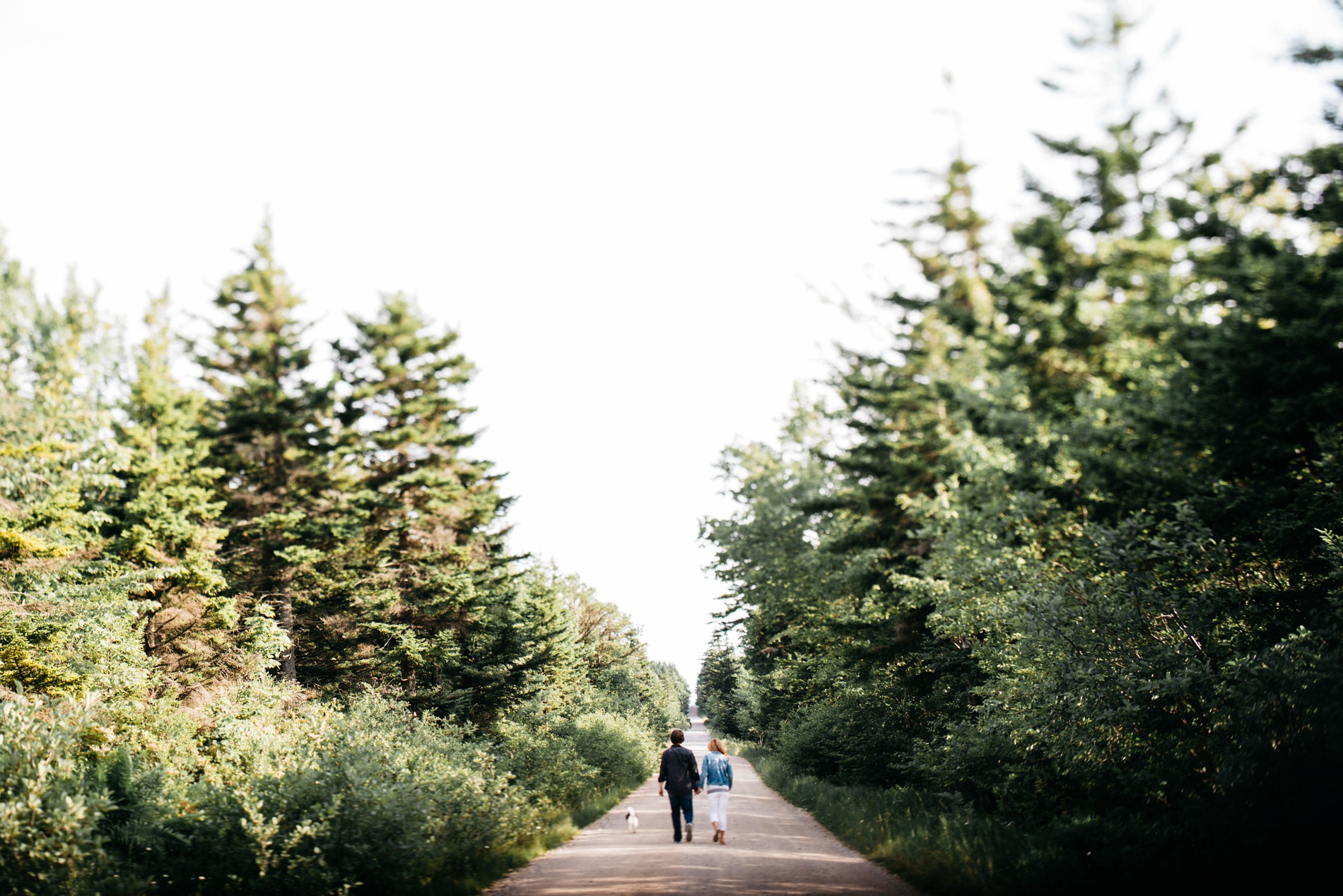 engagement session at dolly sods