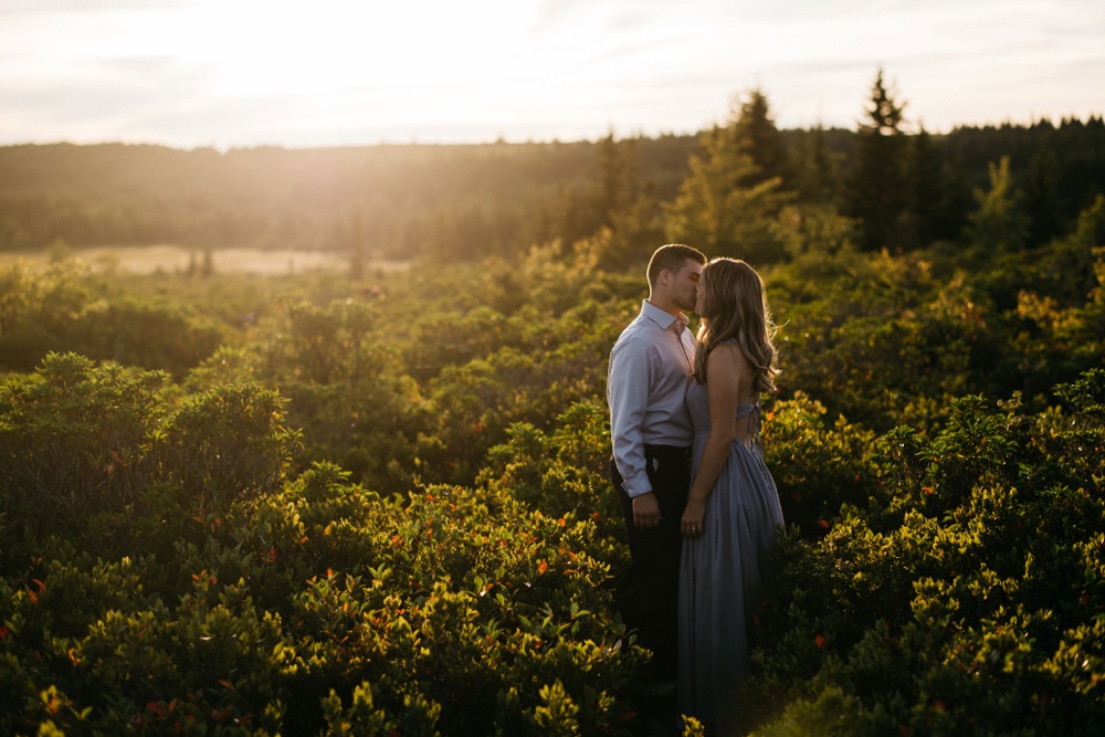 engagement photos taken at dolly sods