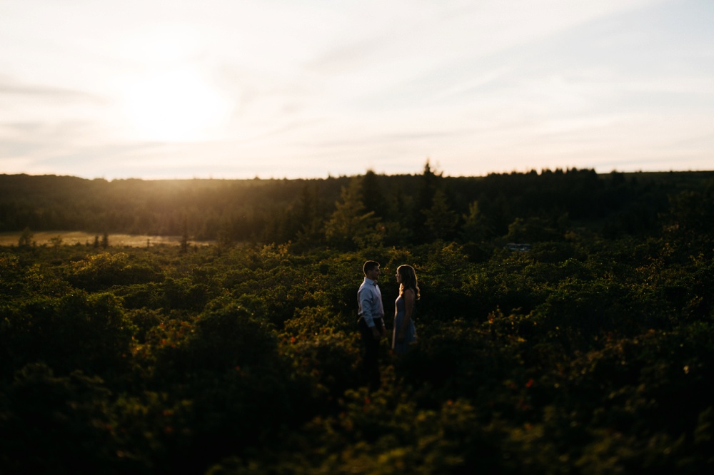 dolly sods portraits