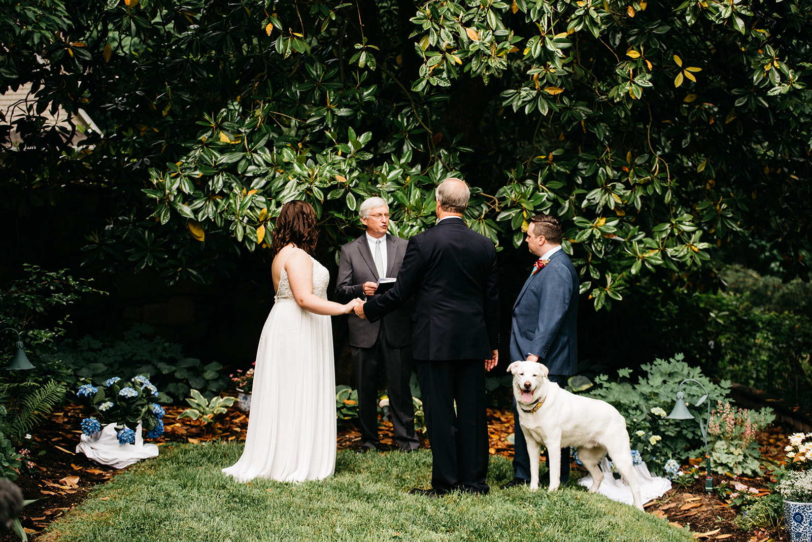 West Virginia wedding photography