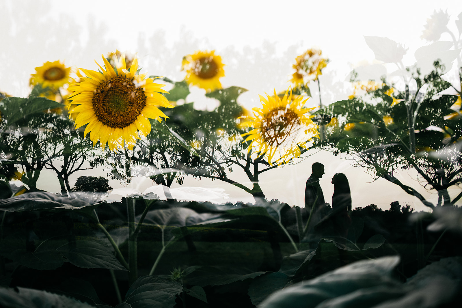 engagement photography in West Virginia