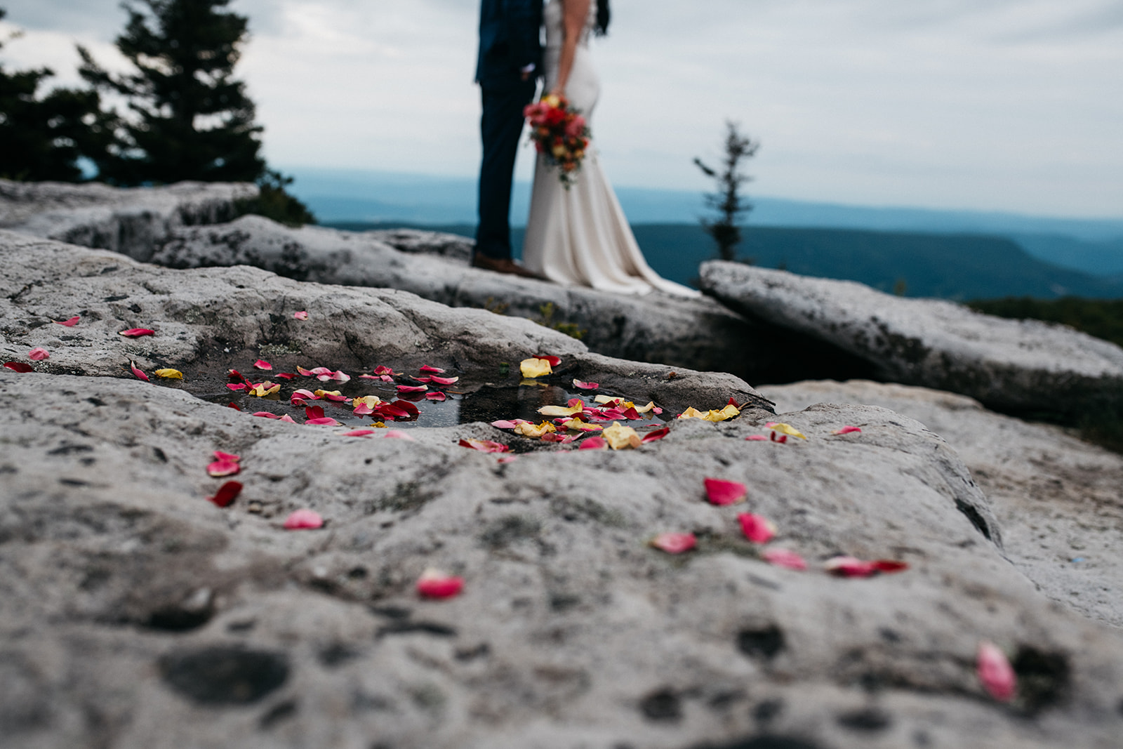 wv elopement at dolly sods