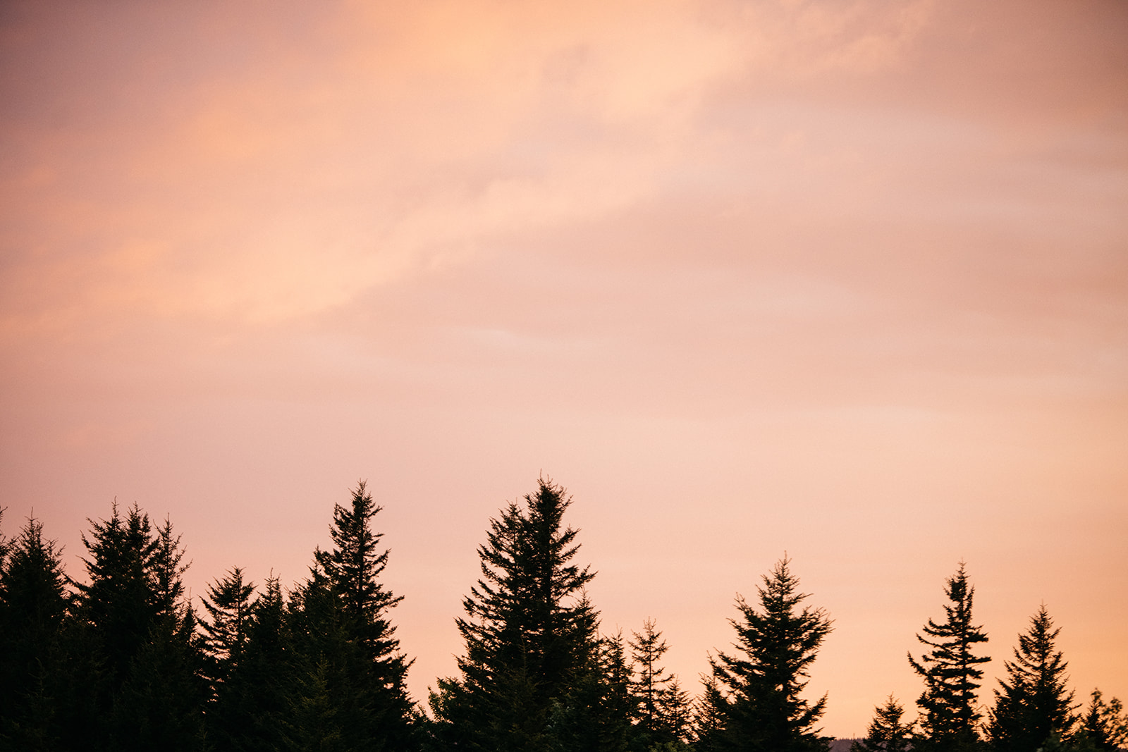 dolly sods elopement photography